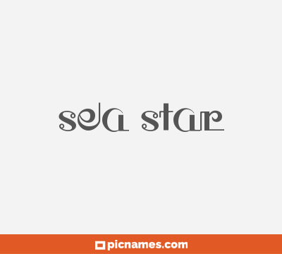 Sea Star